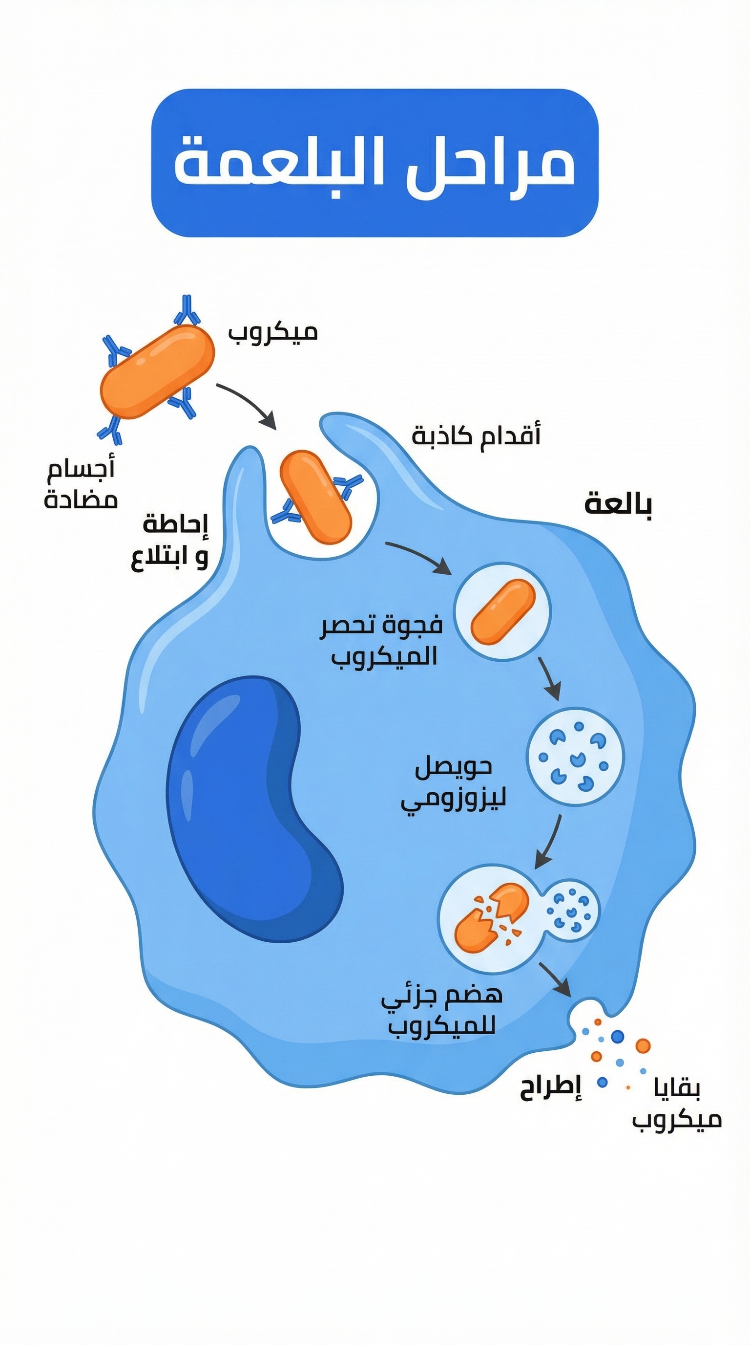Summary - Science Chapter